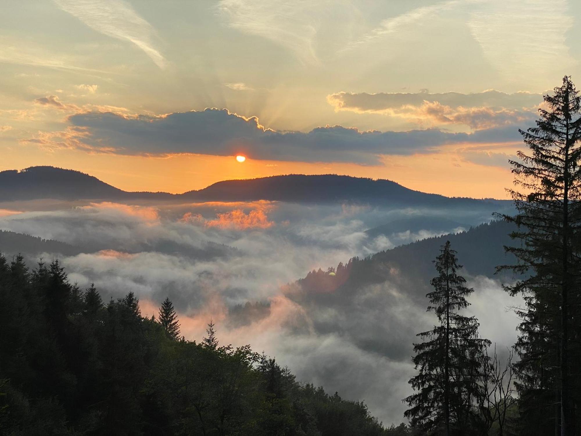 Landeckhof Villa Oberwolfach Kültér fotó