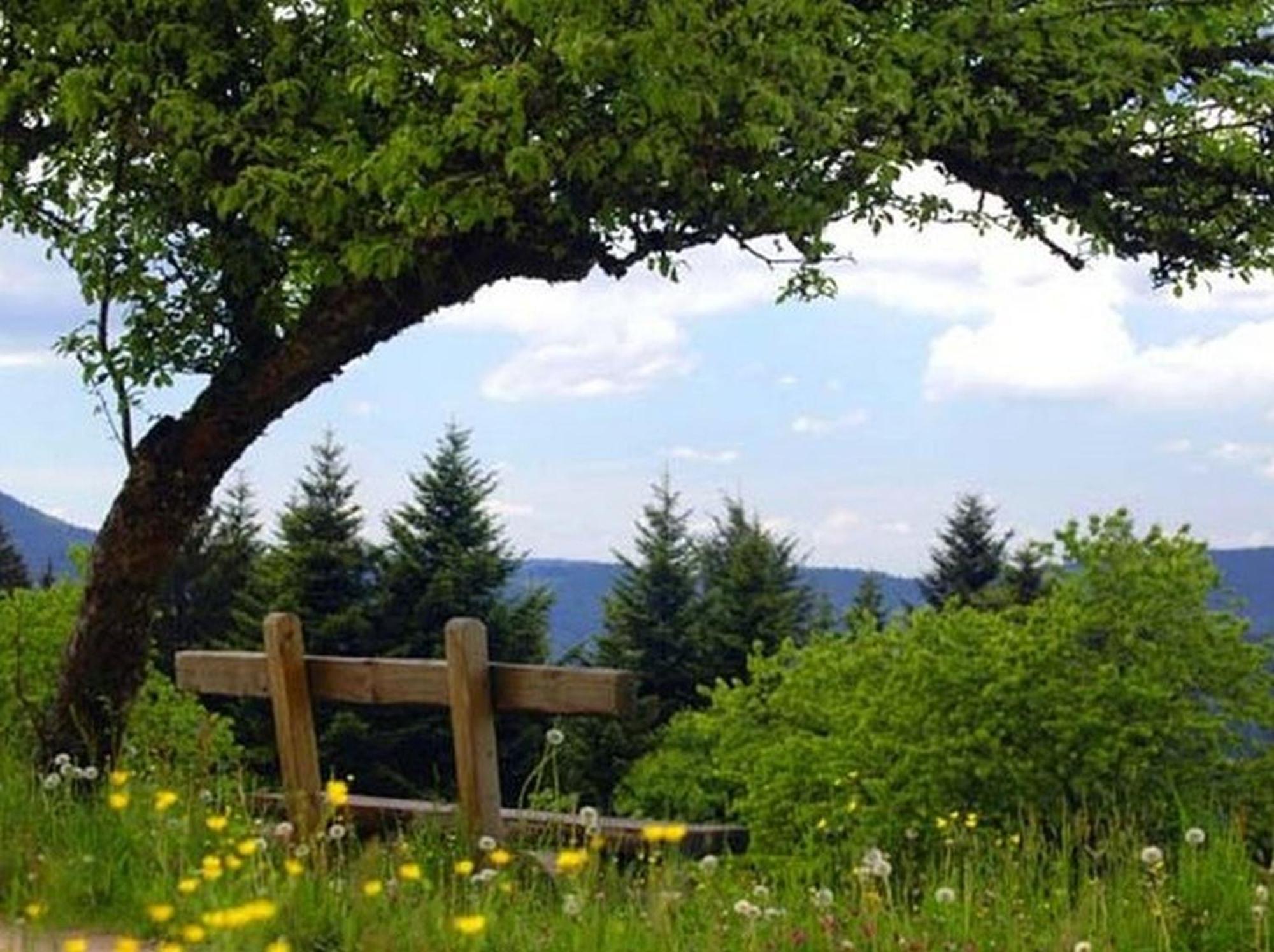 Landeckhof Villa Oberwolfach Kültér fotó